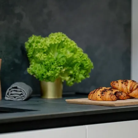 Palm - Centrum Plac Wolnosci 6 - Kramm *