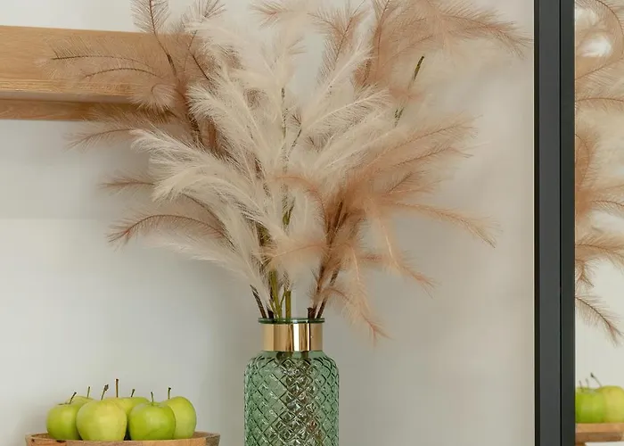 Palm - Centrum Plac Wolnosci 6 - Kramm