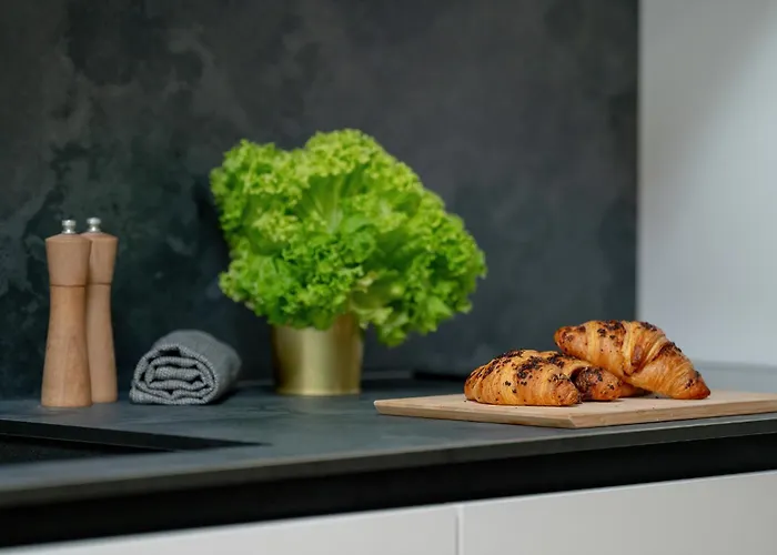 Palm - Centrum Plac Wolnosci 6 - Kramm *