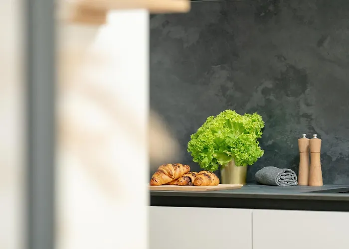 Palm - Centrum Plac Wolnosci 6 - Kramm Appartement *